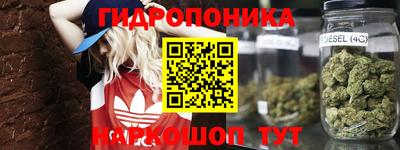 мет Сланцы