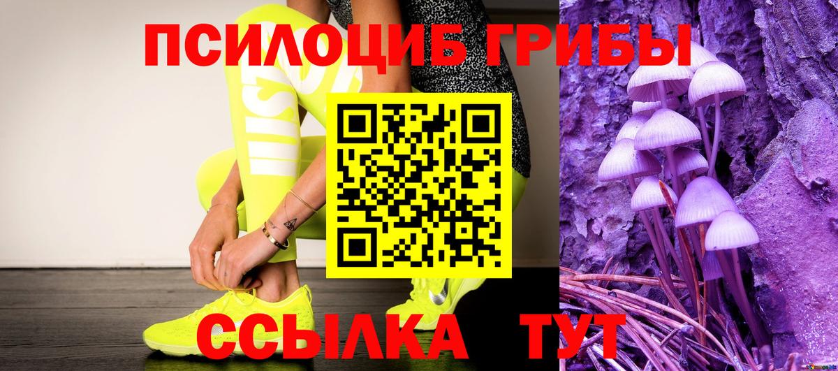 Псилоцибиновые грибы ЛСД  продажа наркотиков  Нижнеудинск  Вход с VPN 