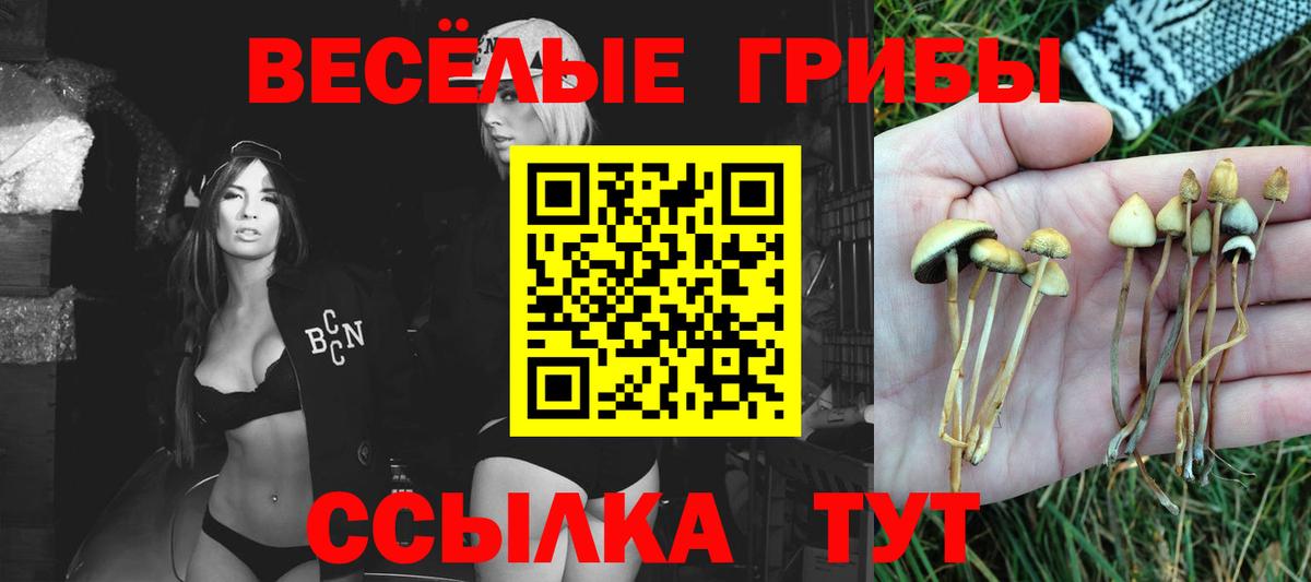 Галлюциногенные грибы прущие грибы Нижнеудинск